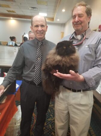 SHOW QUALITY HIMALAYAN PERSIANS NEAR ARKANSAS KANSAS MISSOURI OKLAHOMA AND THE UNITED STATES