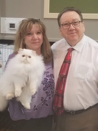 SHOW QUALITY HIMALAYAN PERSIANS NEAR ARKANSAS KANSAS MISSOURI OKLAHOMA AND THE UNITED STATES
