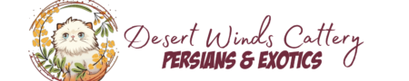 SHOW QUALITY HIMALAYAN PERSIANS NEAR ARKANSAS KANSAS MISSOURI OKLAHOMA AND THE UNITED STATES