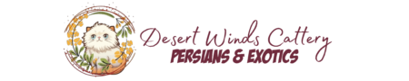 SHOW QUALITY HIMALAYAN PERSIANS NEAR ARKANSAS KANSAS MISSOURI OKLAHOMA AND THE UNITED STATES