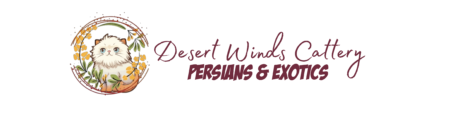 SHOW QUALITY HIMALAYAN PERSIANS NEAR ARKANSAS KANSAS MISSOURI OKLAHOMA AND THE UNITED STATES